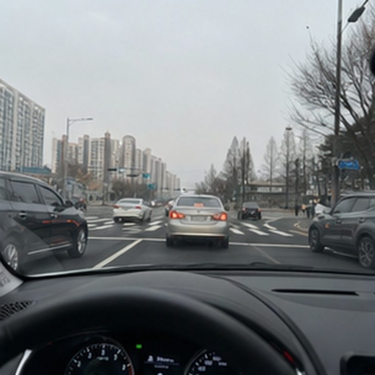 Korean traffic accident road crosswalk and street photo 017